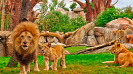 BIOPARC