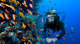 BUCEO PRINCIPIANTES