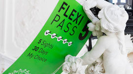 FLEXI PASS
