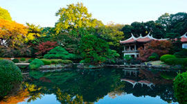 SHINJUKU GYOEN