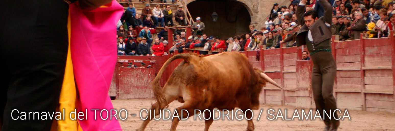 Carnaval del TORO - CIUDAD RODRIGO / SALAMANCA · 1 al 5 de Marzo - No pagues más por lo mismo