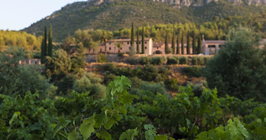 Terra Dominicata - Hotel & Winery