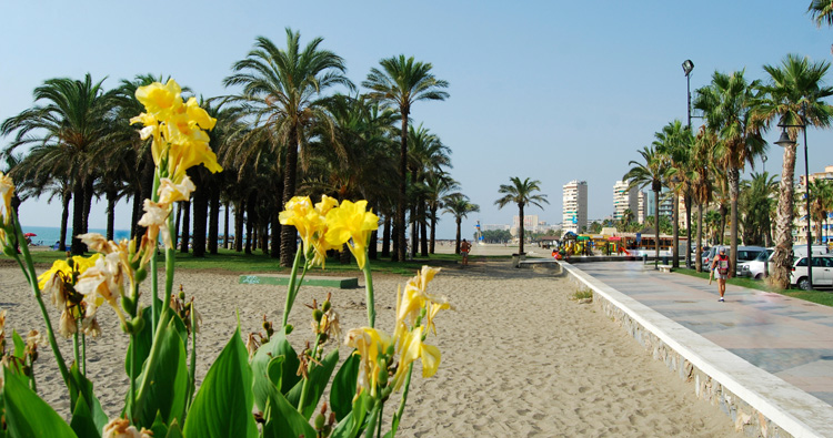 RULETA 4*  TORREMOLINOS
