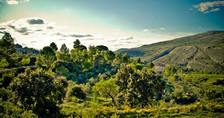 Vila de Muro