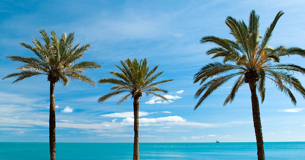 DVACACIONES COSTA DEL SOL 4*