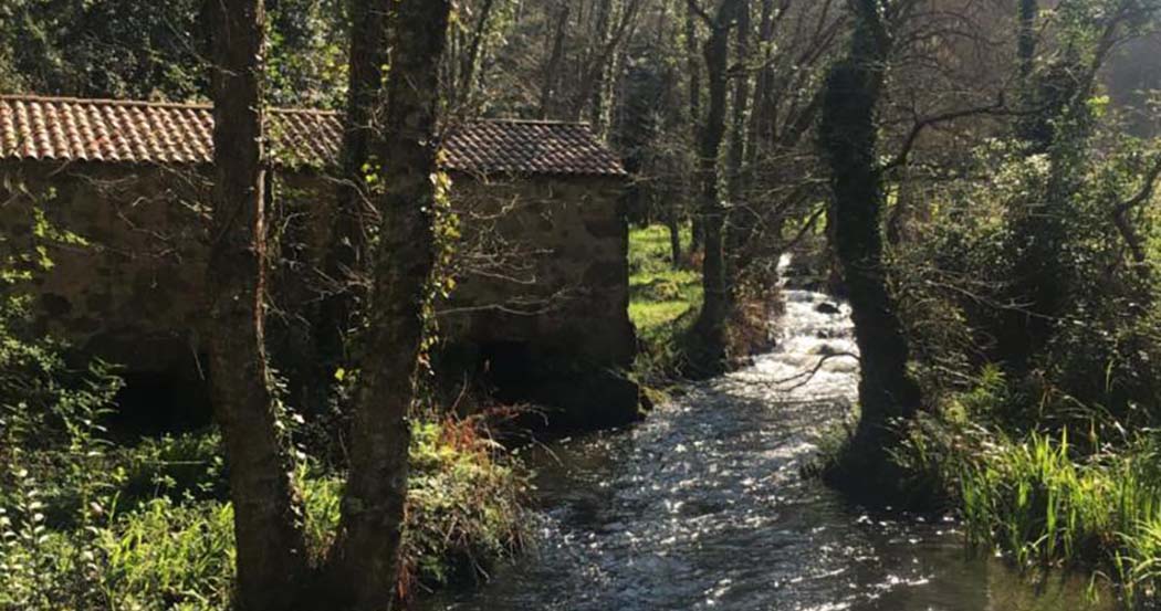 Monasterio y Pensión de Moraime