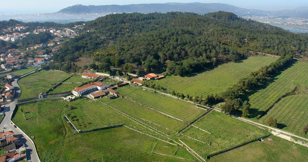 Quinta De Paco D Anha