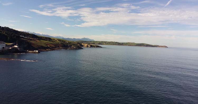 El Tejo de Comillas